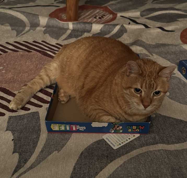 Photo of Fred