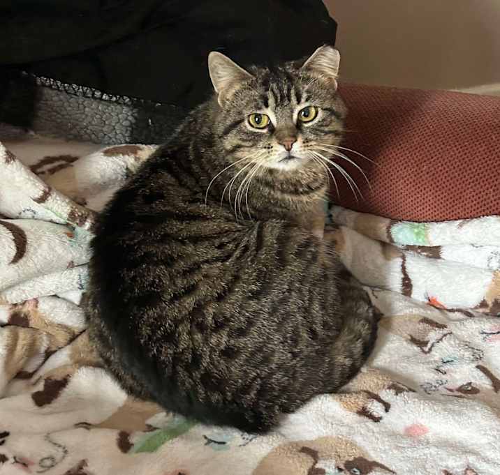 Photo of Mishka