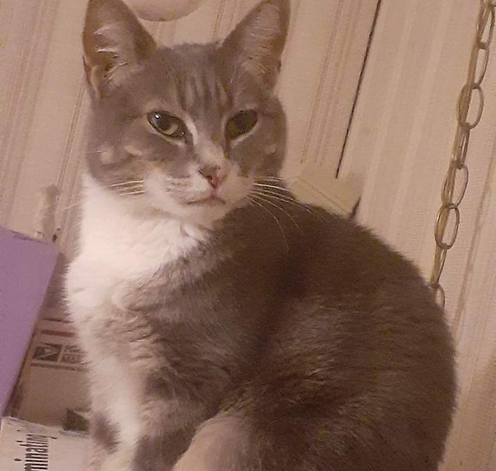 Photo of Wendy