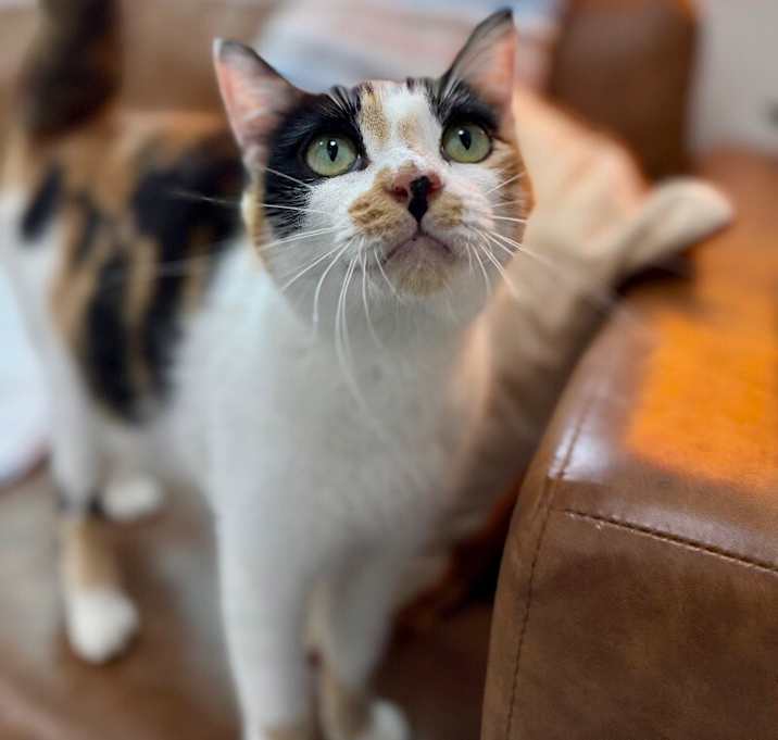 Photo of June Bug Zapata
