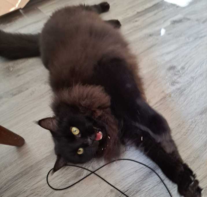 Photo of Banshee