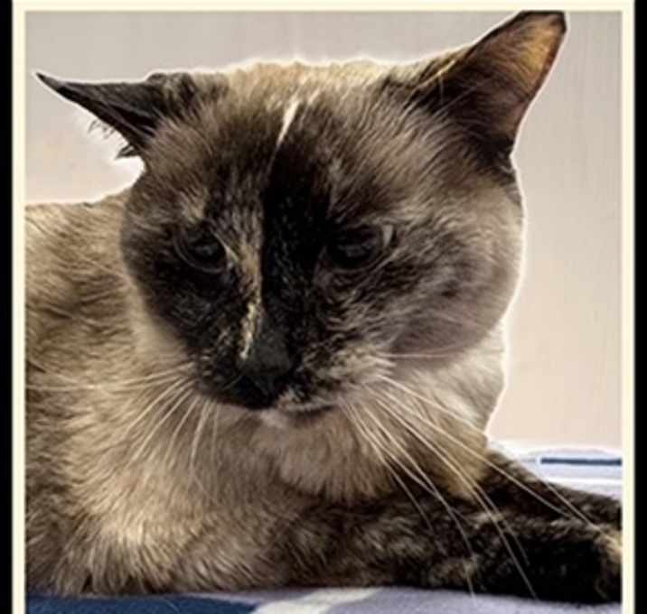 Photo of SUGAR