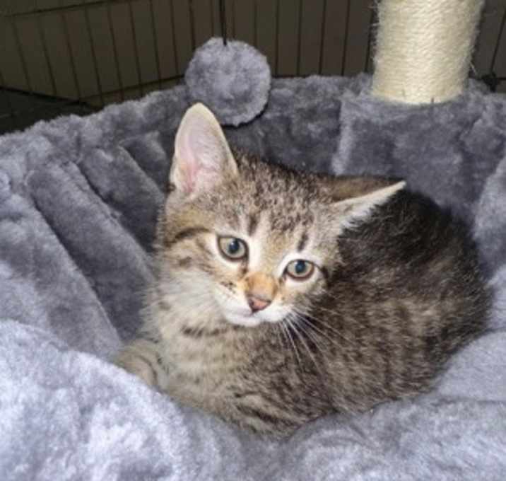 Photo of Daisy Mae