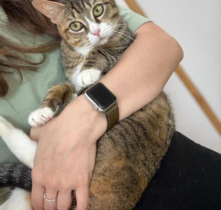 Photo of Maple Mama Cat Marsh
