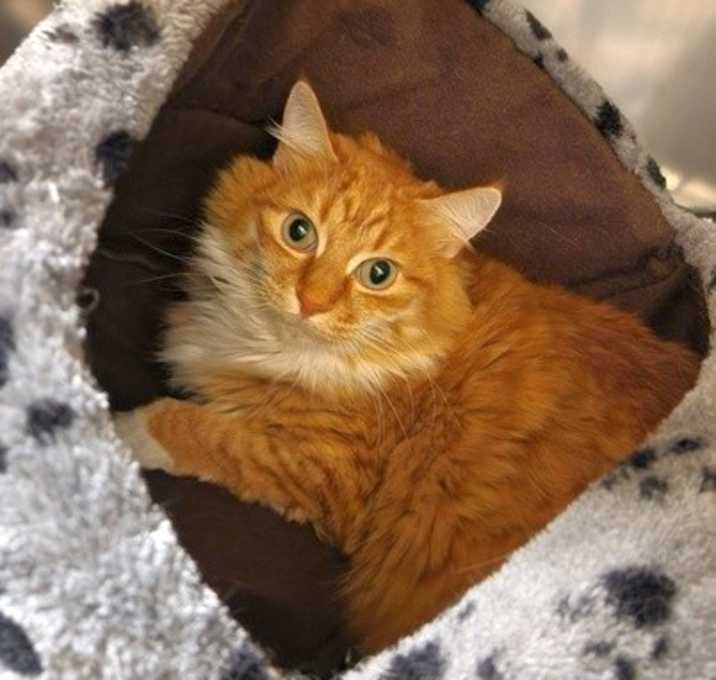 Photo of Locke