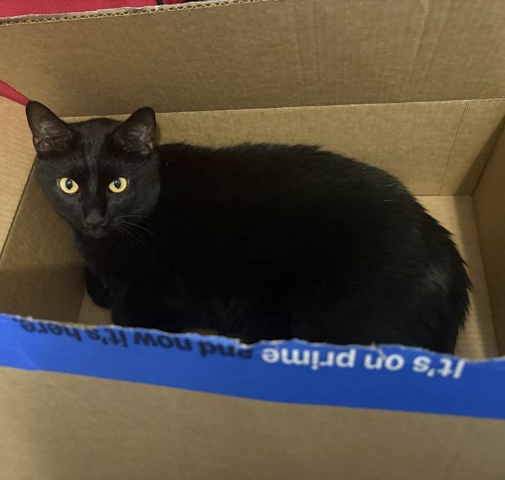 Photo of Remy