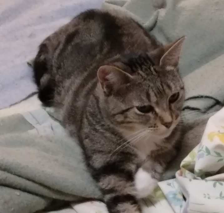 Photo of Wanda