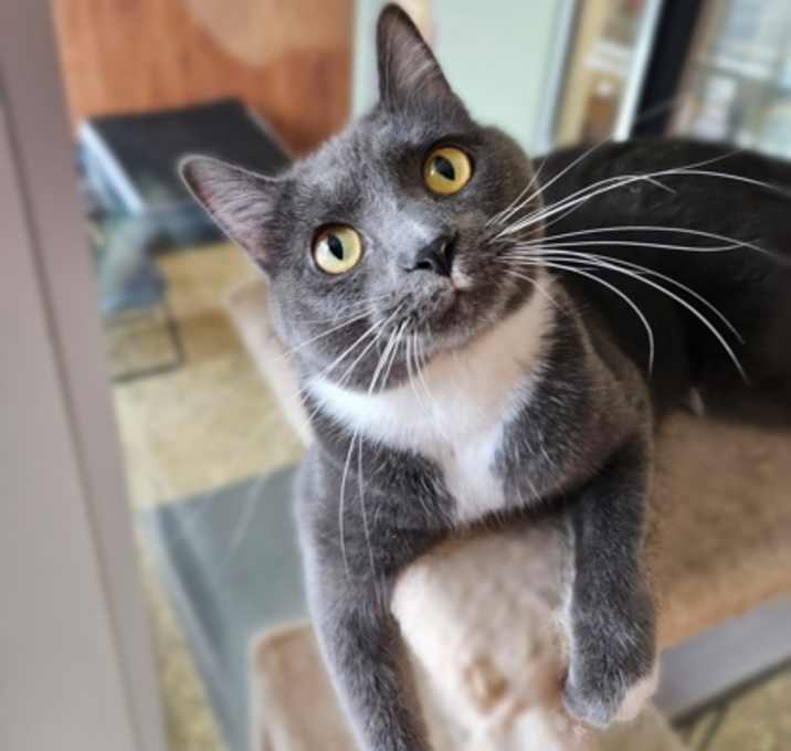Photo of JUNIOR