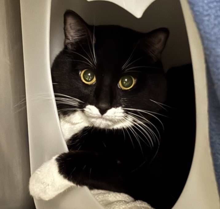 Photo of Stash