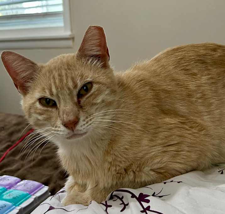 Photo of MELVIN