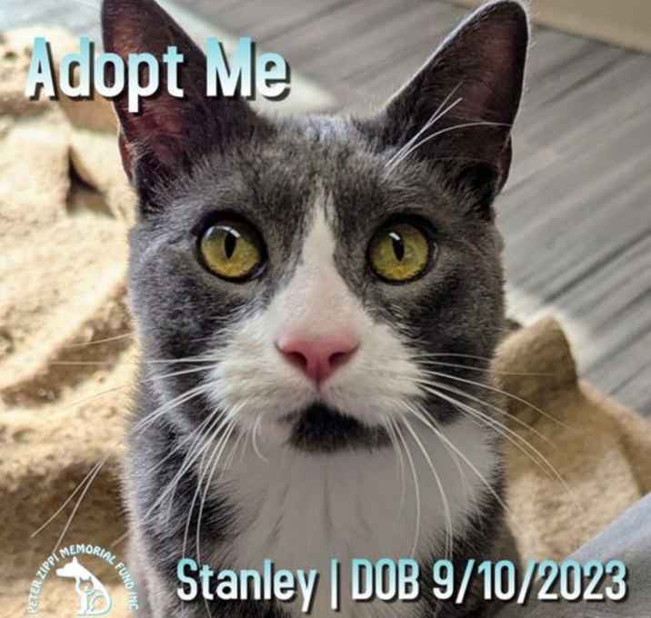 Photo of Stanley