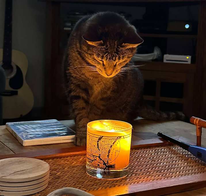 Photo of Josie Pussycat