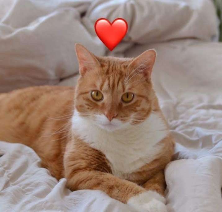 Photo of Chloe