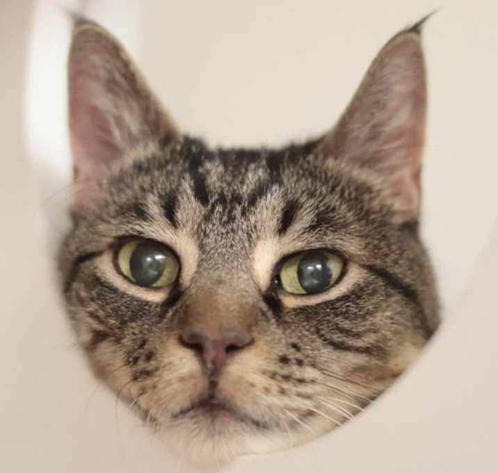 Photo of Cupid