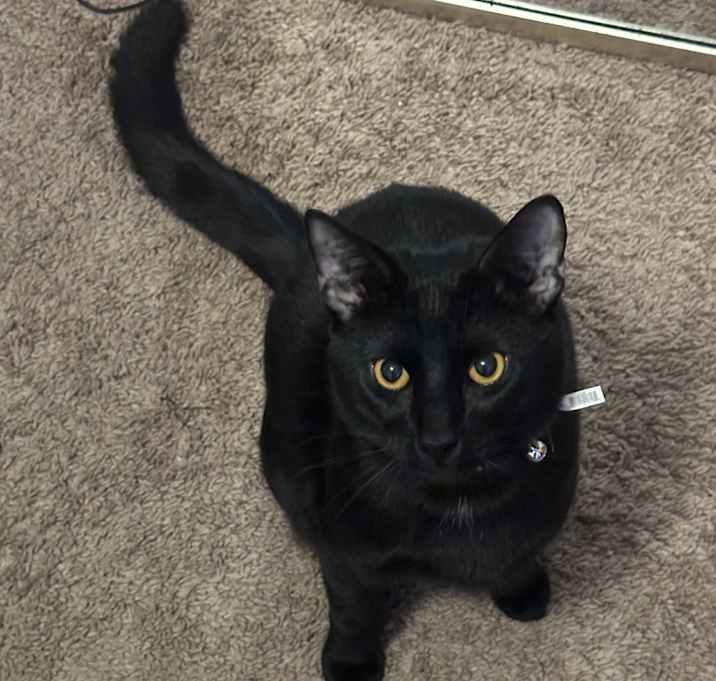 Photo of Marnie