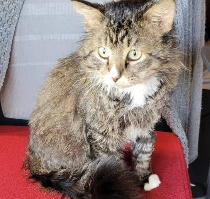 Photo of Boots 