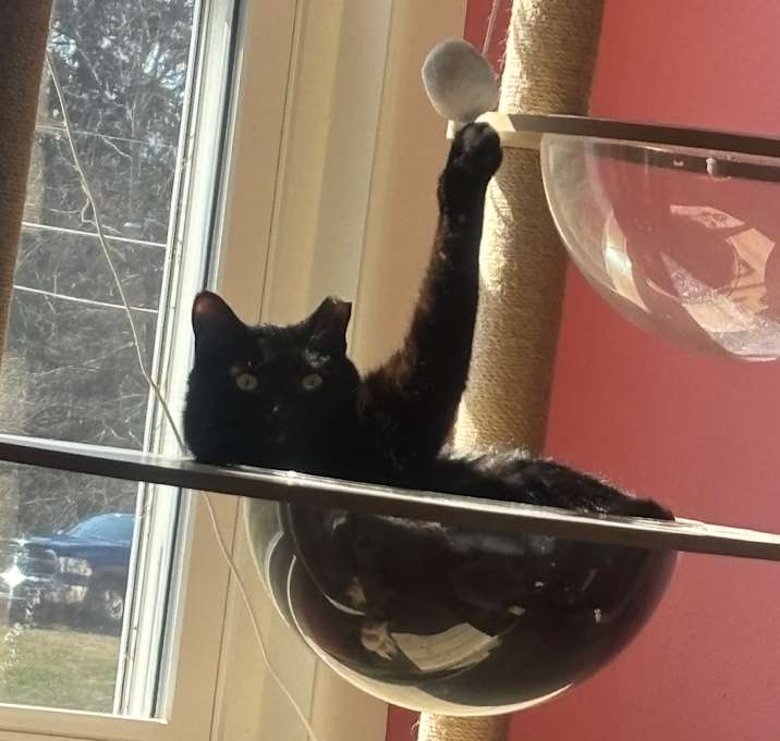 Photo of Wynona