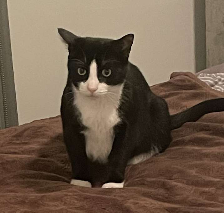Photo of Billy
