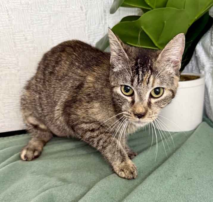 Photo of Jewel