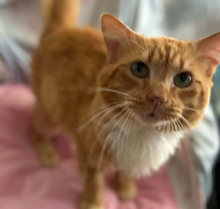 Photo of Mac