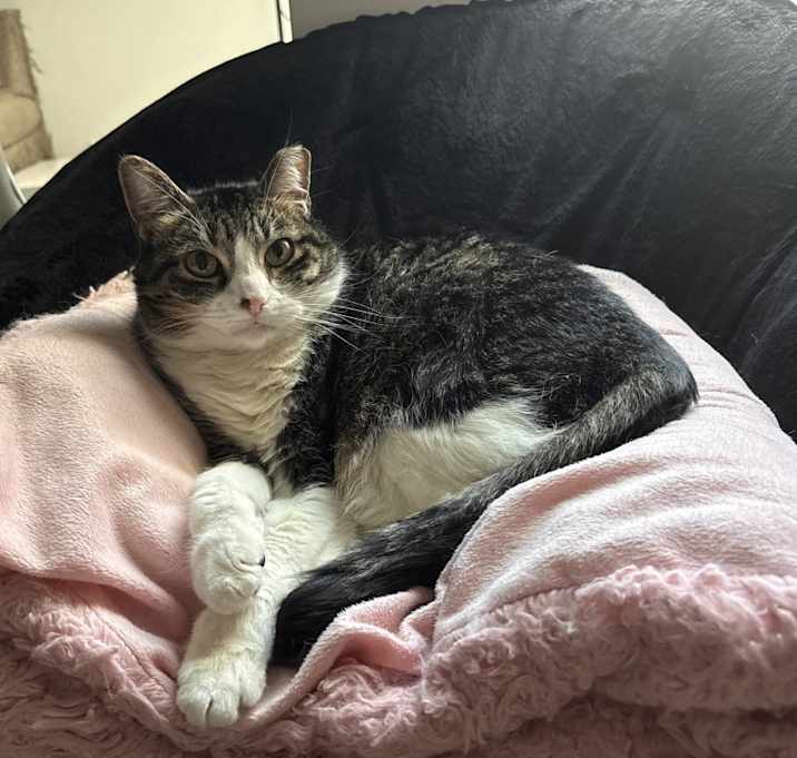 Photo of Aurora ( goes by Aura for short)