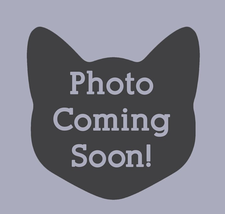 Photo of Ruby