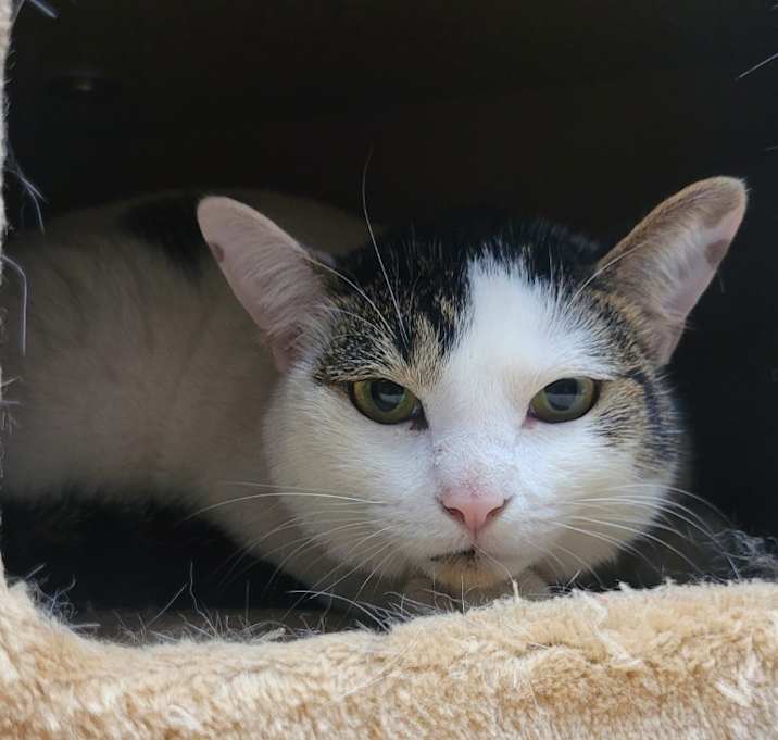 Photo of Wilma