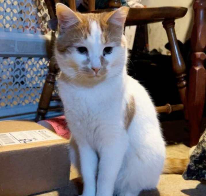 Photo of Jammies