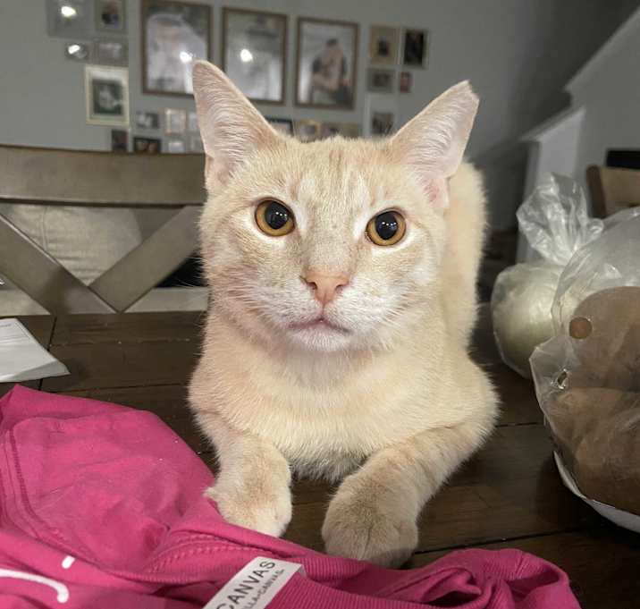 Photo of Gabriel