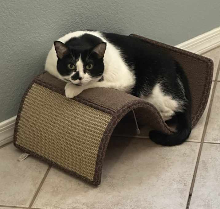Photo of Olivia