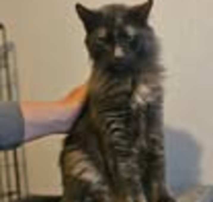 Photo of Lucy