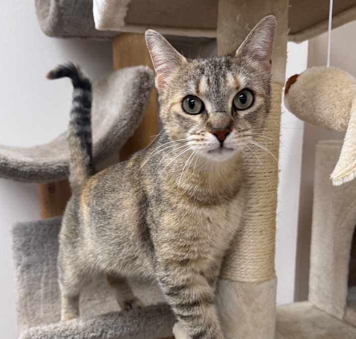 Photo of Sailor