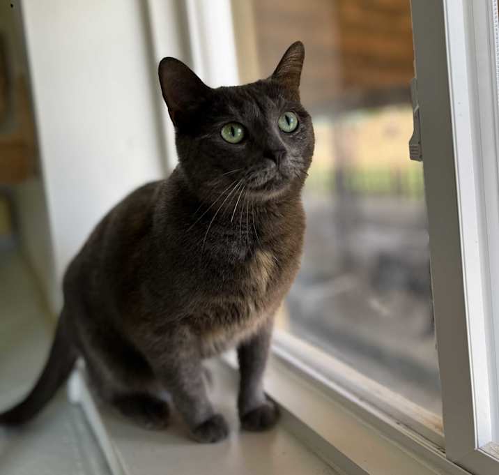 Photo of Myrtle