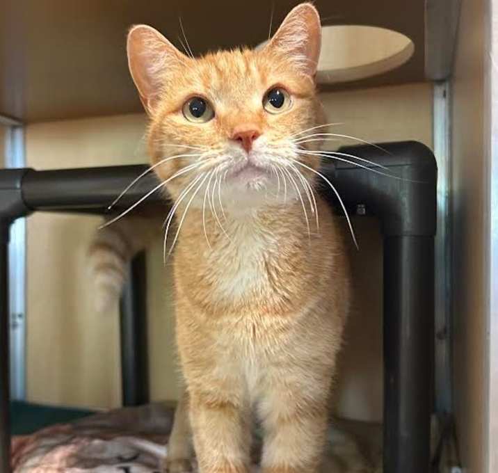 Photo of Simon