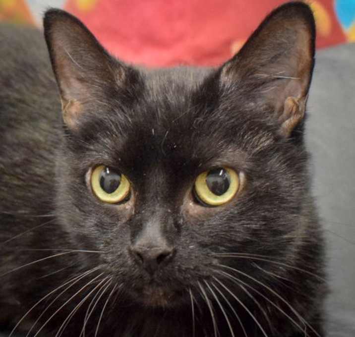Photo of Lilly