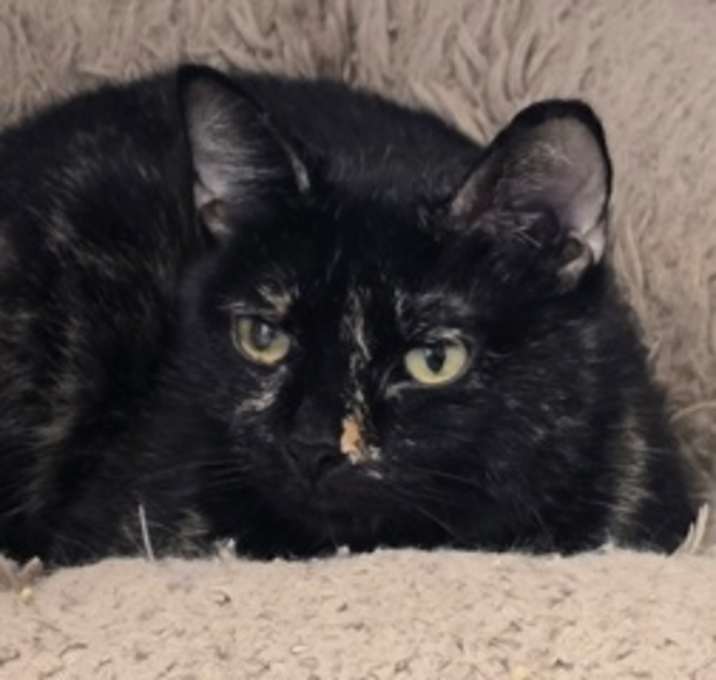 Photo of Leela