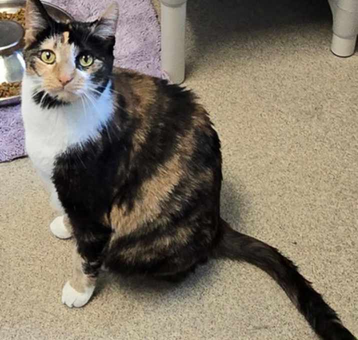 Photo of Mimsy