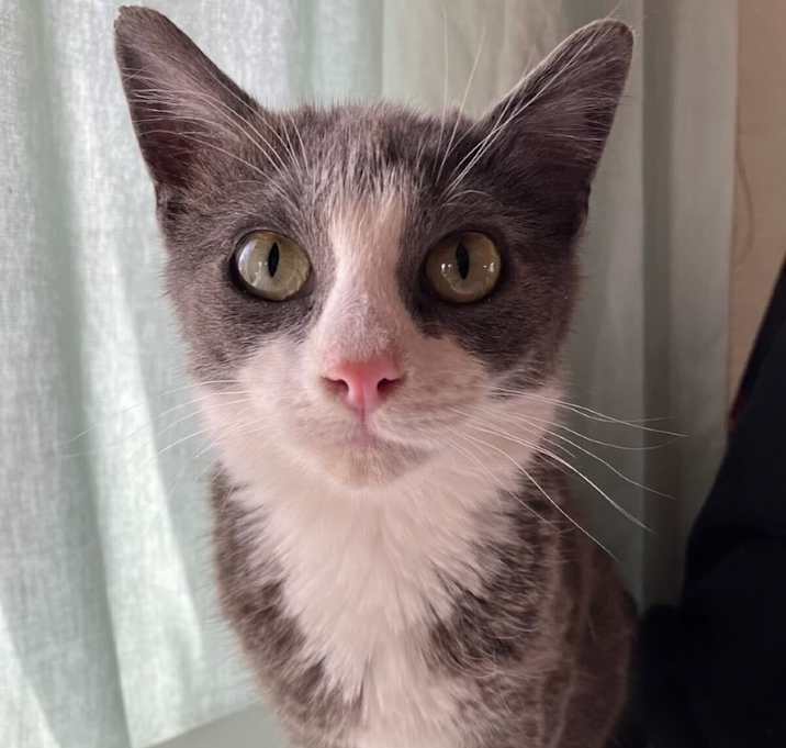 Photo of Winston