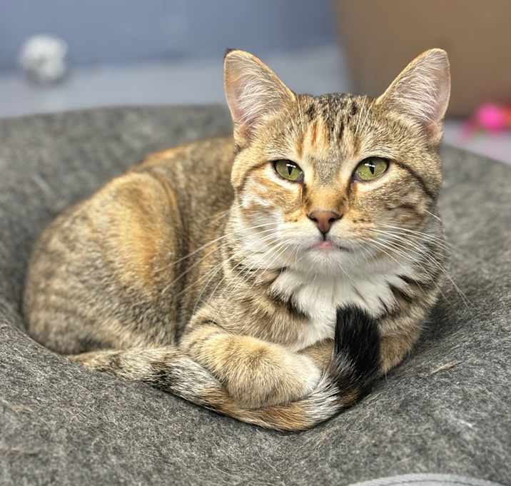 Photo of Elsie