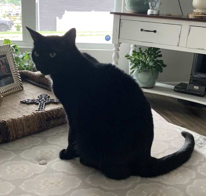 Photo of Blu