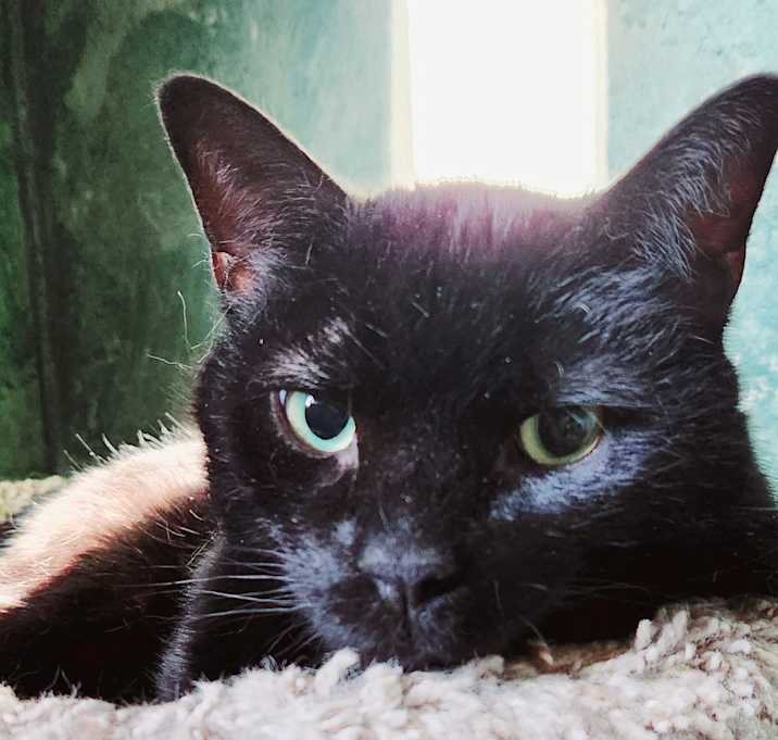 Photo of Princey