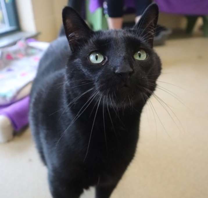 Photo of Jet