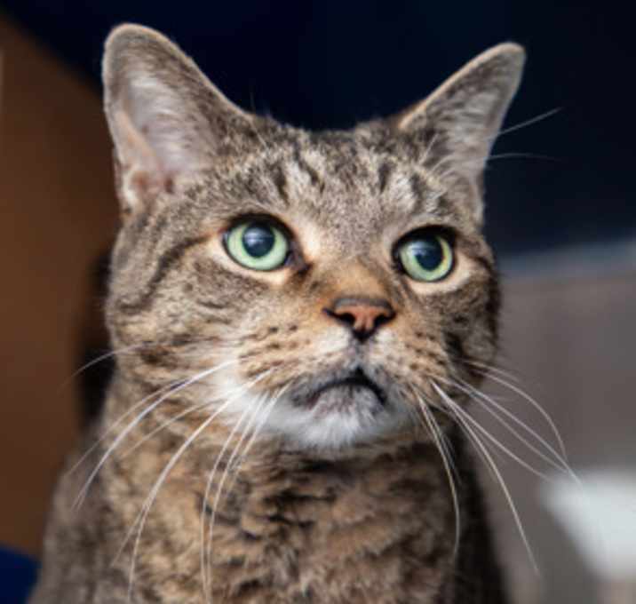 Photo of Ted