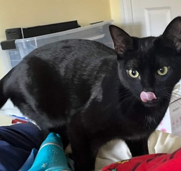 Photo of Salem