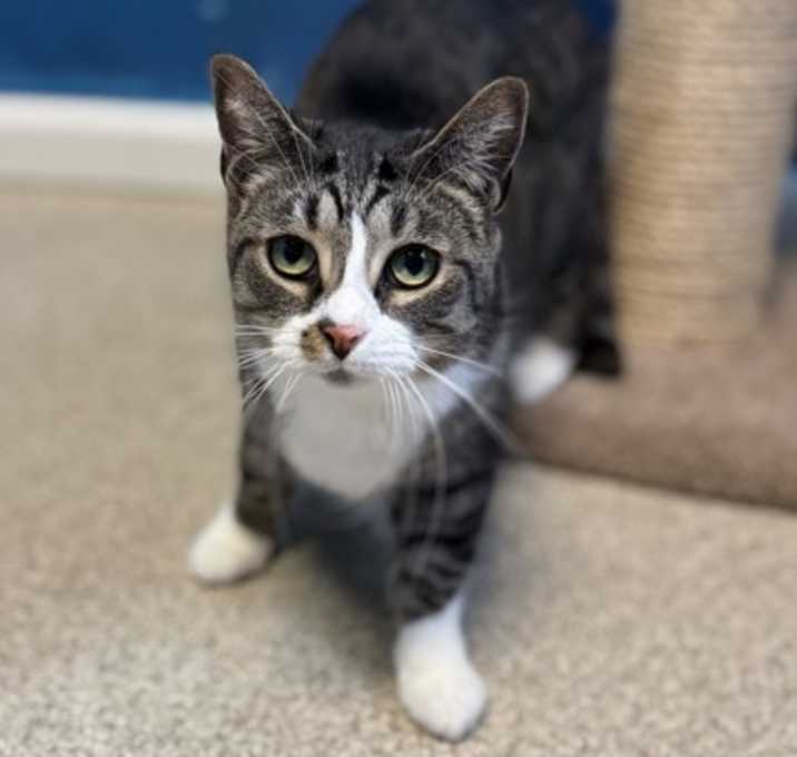 Photo of Boots