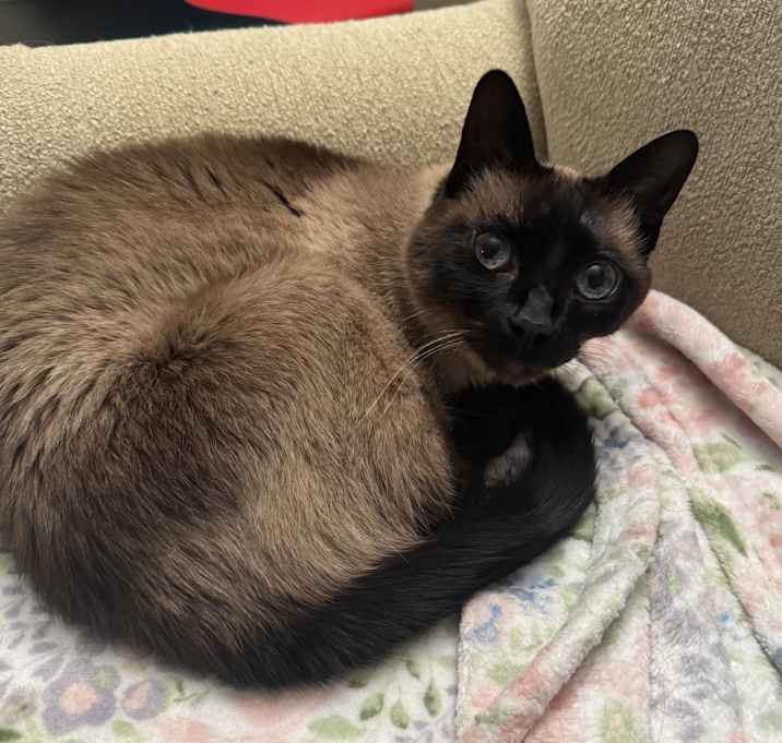Photo of Mia