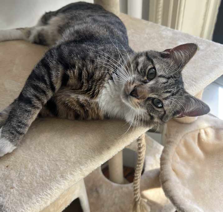 Photo of Tucker