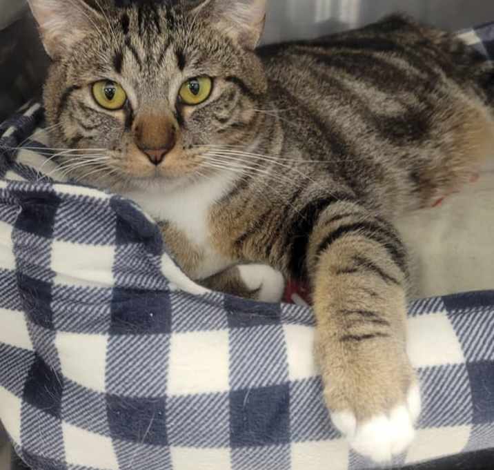 Photo of Cleo