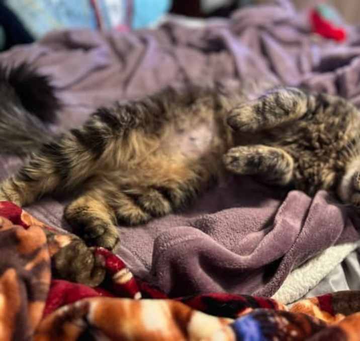 Photo of Max