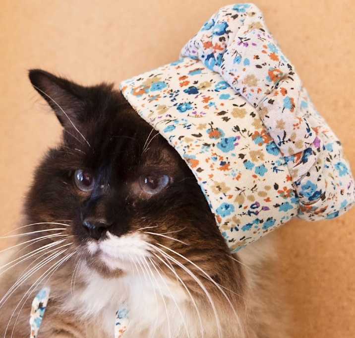 Photo of Smokey